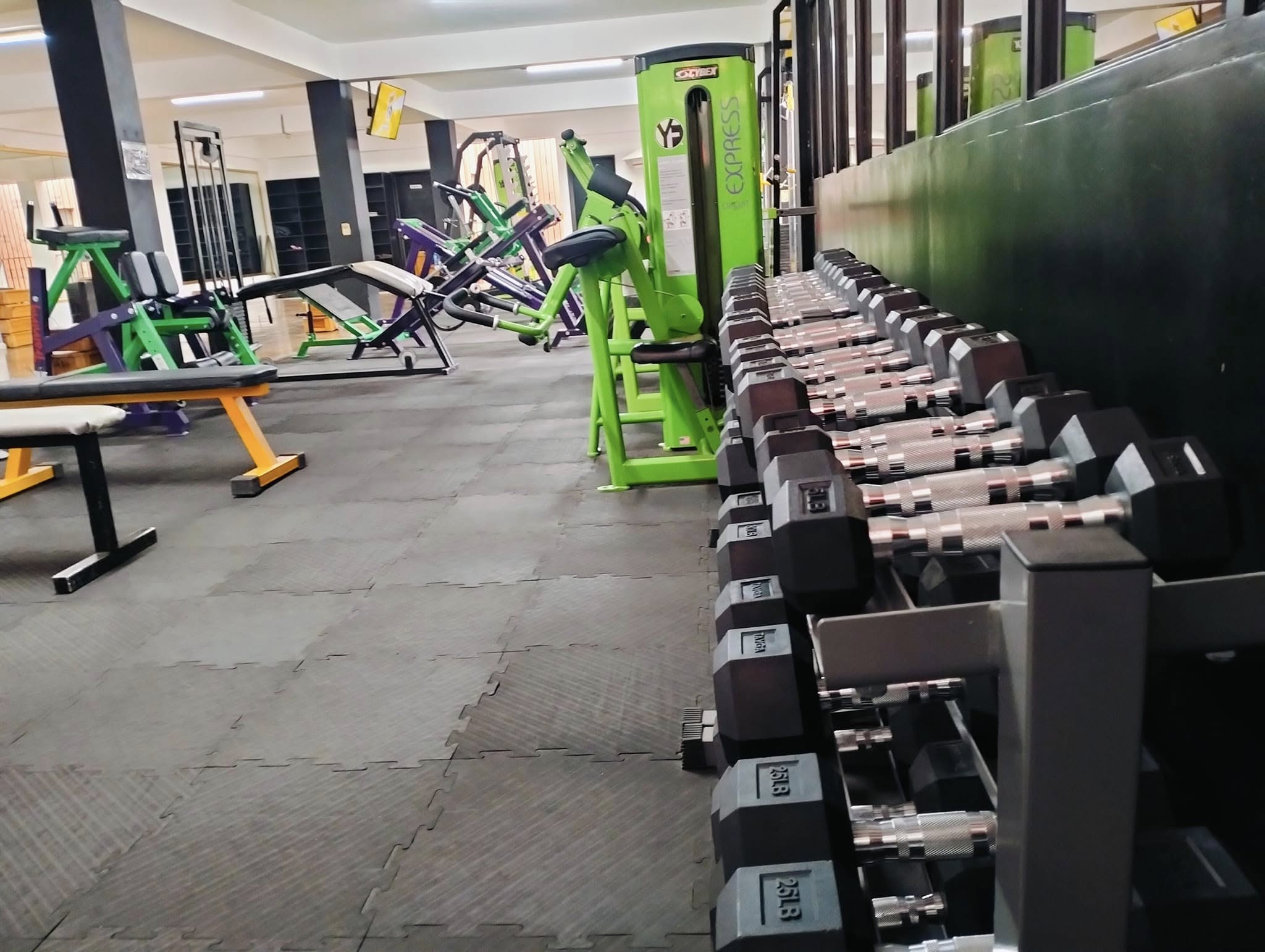 Instalaciones Gimnasio